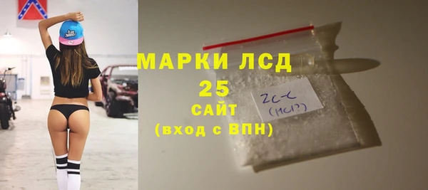 ПСИЛОЦИБИНОВЫЕ ГРИБЫ Баксан