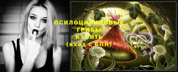 ПСИЛОЦИБИНОВЫЕ ГРИБЫ Баксан