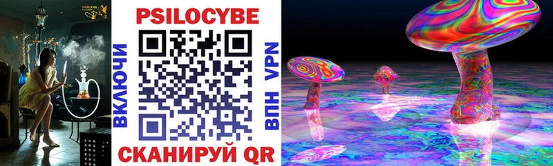 хочу   Яранск  Псилоцибиновые грибы мухоморы 