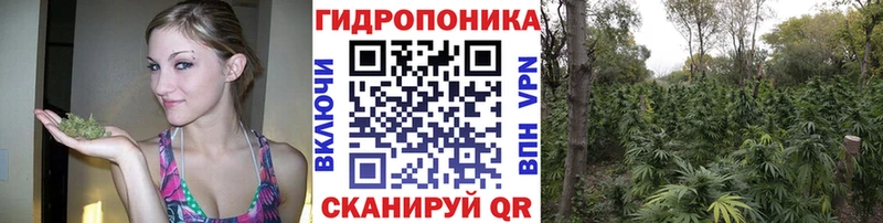 МАРИХУАНА Bruce Banner Яранск